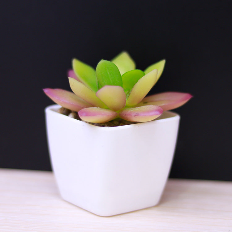 Artificial Succulent Plastic Plant Mini Potted Desktop Decoration