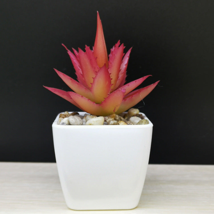 Artificial Succulent Plastic Plant Mini Potted Desktop Decoration