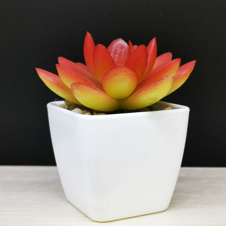 Artificial Succulent Plastic Plant Mini Potted Desktop Decoration