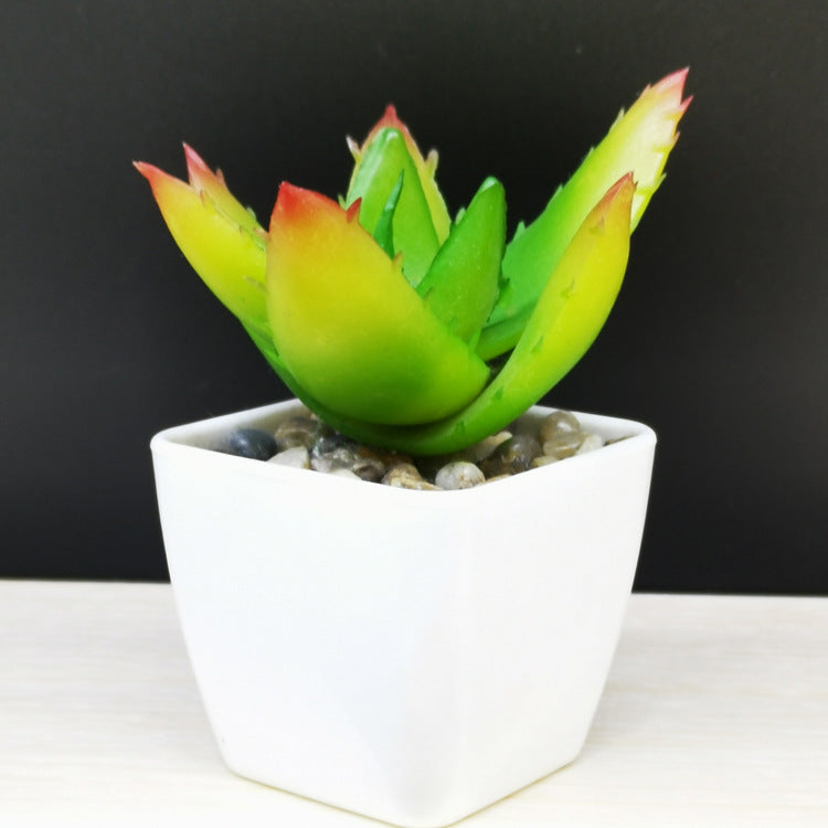 Artificial Succulent Plastic Plant Mini Potted Desktop Decoration