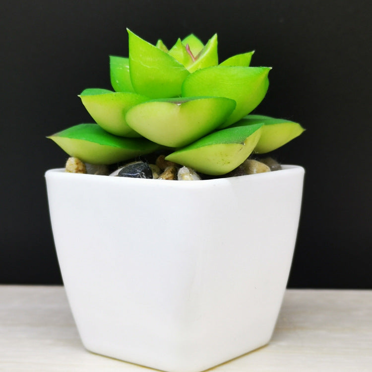 Artificial Succulent Plastic Plant Mini Potted Desktop Decoration