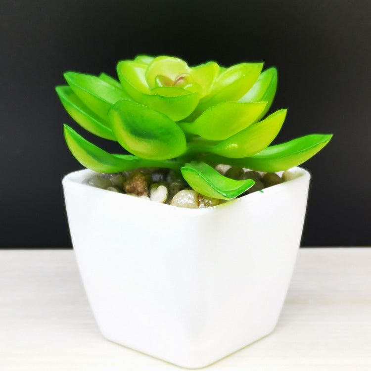 Artificial Succulent Plastic Plant Mini Potted Desktop Decoration